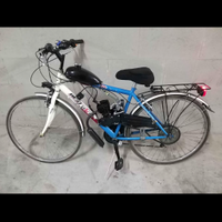 Bicicletta con motore