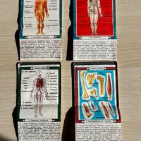 Corpo umano anni ‘60 Alluminio