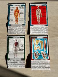 Corpo umano anni ‘60 Alluminio