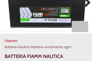 Batteria nautica FIAMM 12V 230Ah AGM