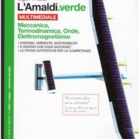Libro L'AMALDI.VERDE