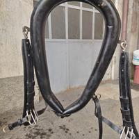 Collare per finimento carrozza