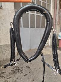 Collare per finimento carrozza
