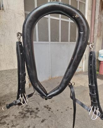 Collare per finimento carrozza