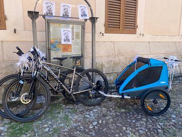 Thule Chariot Coaster xt