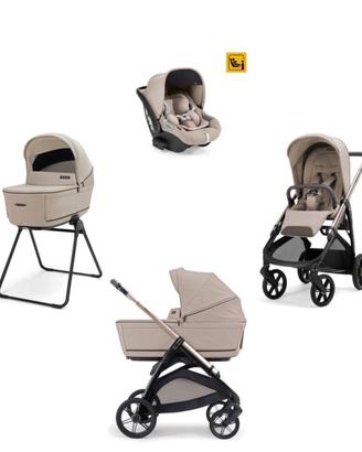 Bambini