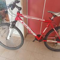 MTB VICINI DEL 26