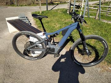 ebike