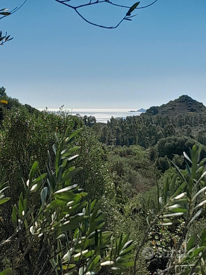 Terreno agricolo di 10 ettari circa - Vista 4