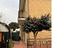 Immagine 12