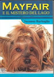 Mayfair a Manhattan  Susanna Barbaglia