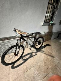 Bici mtb