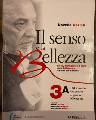 Il senso e la bellezza 3A e 3B