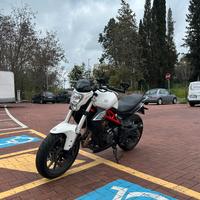 Benelli bn 302