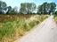 Immagine 10