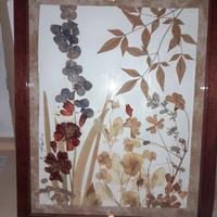 quadro di fiori essiccati