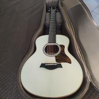 TAYLOR GS MINI SPECIAL EDITION