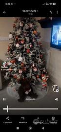 Albero di natale 