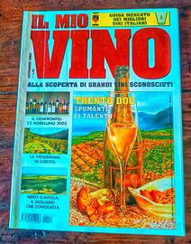 Rivista il mio vino Trento Doc