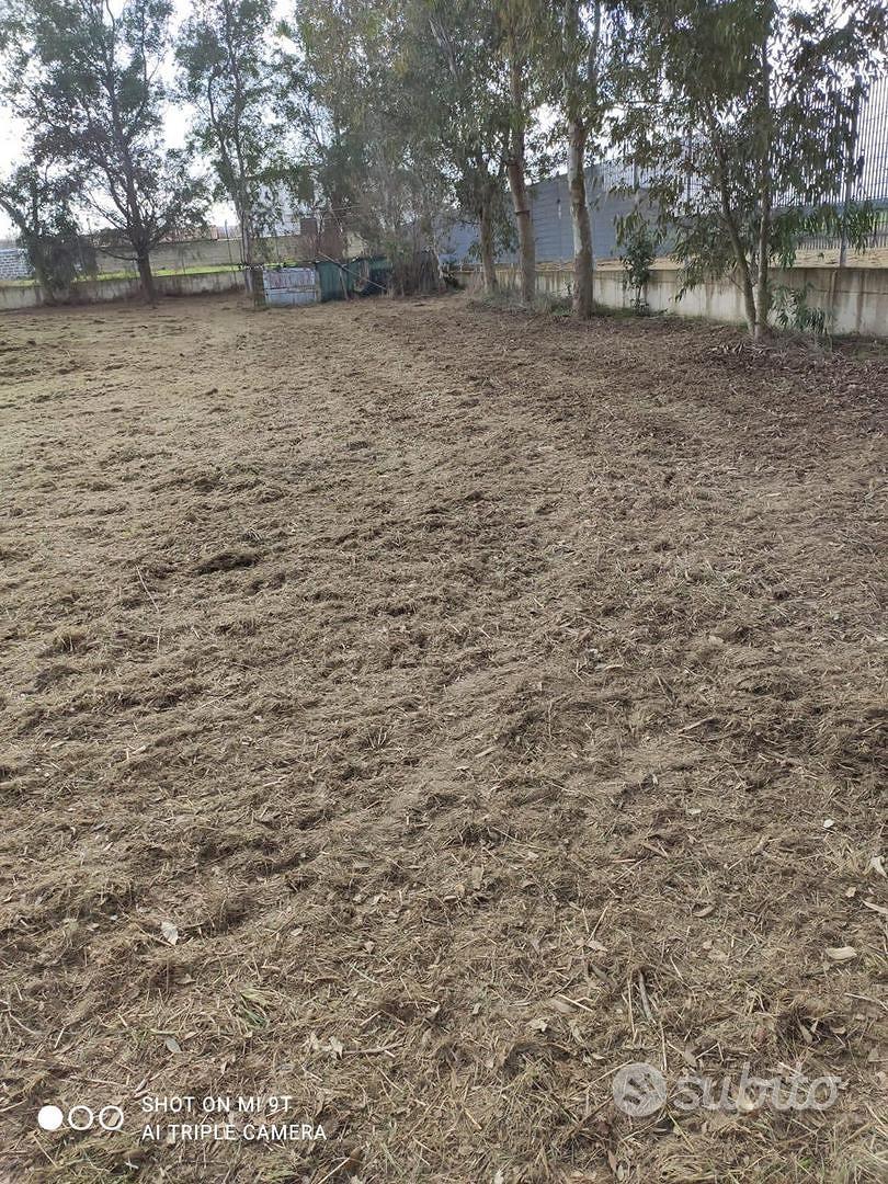 Terreno agricolo di 2700 mq a Varcaturo - Altro