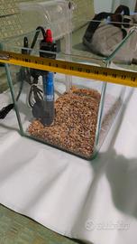 mini acquario 