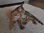 Immagine 2