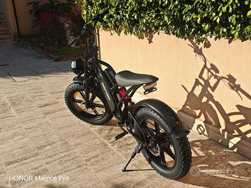 Bici elettrica
