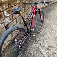 S-Works Epic World Cup  - TG S