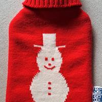 Borsa dell'acqua calda (boule)