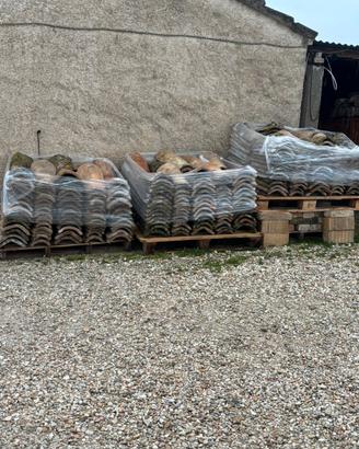 COPPI E PIANELLE VECCHI