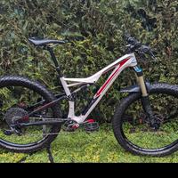 SPECIALIZED STUMPJUMPER FSR COMP CARBON 650+