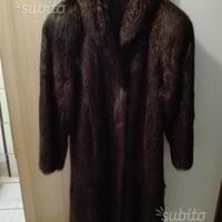 Pelliccia castorino