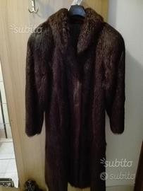 Pelliccia castorino