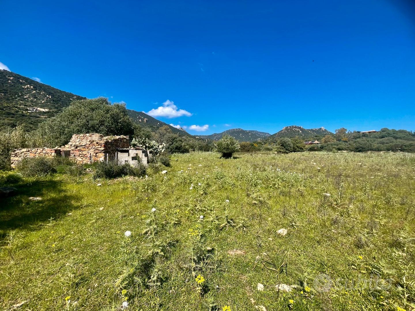 Terreno pianeggiante con rustico - Vista 2