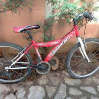 Mountain bike