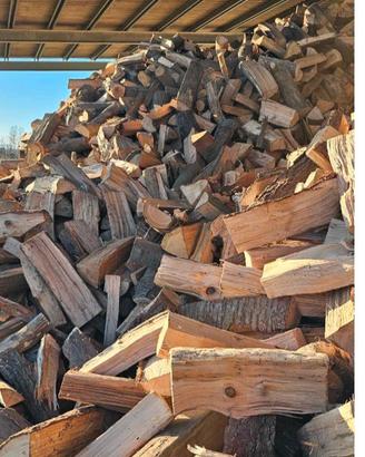 legna da ardere secca 