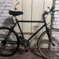 Bici mountain bike