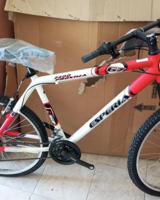 Mountain bike con ammortizzatore front