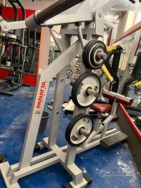 🔥Macchina Dorsali Panatta / High Row Machine