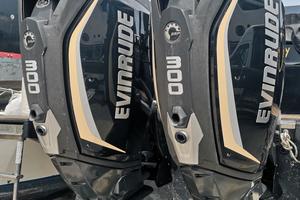 EVINRUDE 2x 300 CV