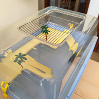 Tartarughe con acquario