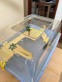 Tartarughe con acquario