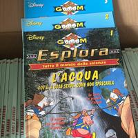 Enciclopedia esplora disney