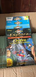 Enciclopedia esplora disney