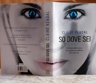 Romanzo "So dove sei"