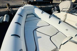 Gommone Pholas 15