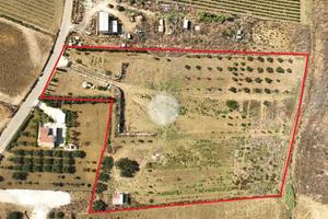 TER. AGRICOLO A ALCAMO