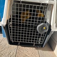Trasportino cani