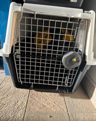 Trasportino cani