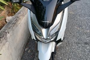 Honda forza 300 